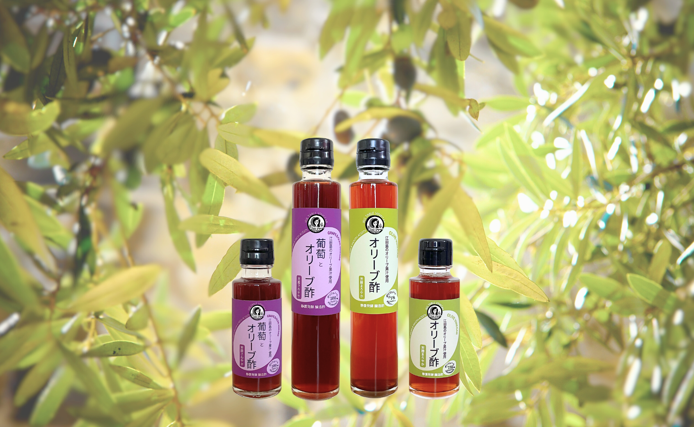 イリスの『オリーブ酢』シリーズ 発売のお知らせ – オリーブオイルの